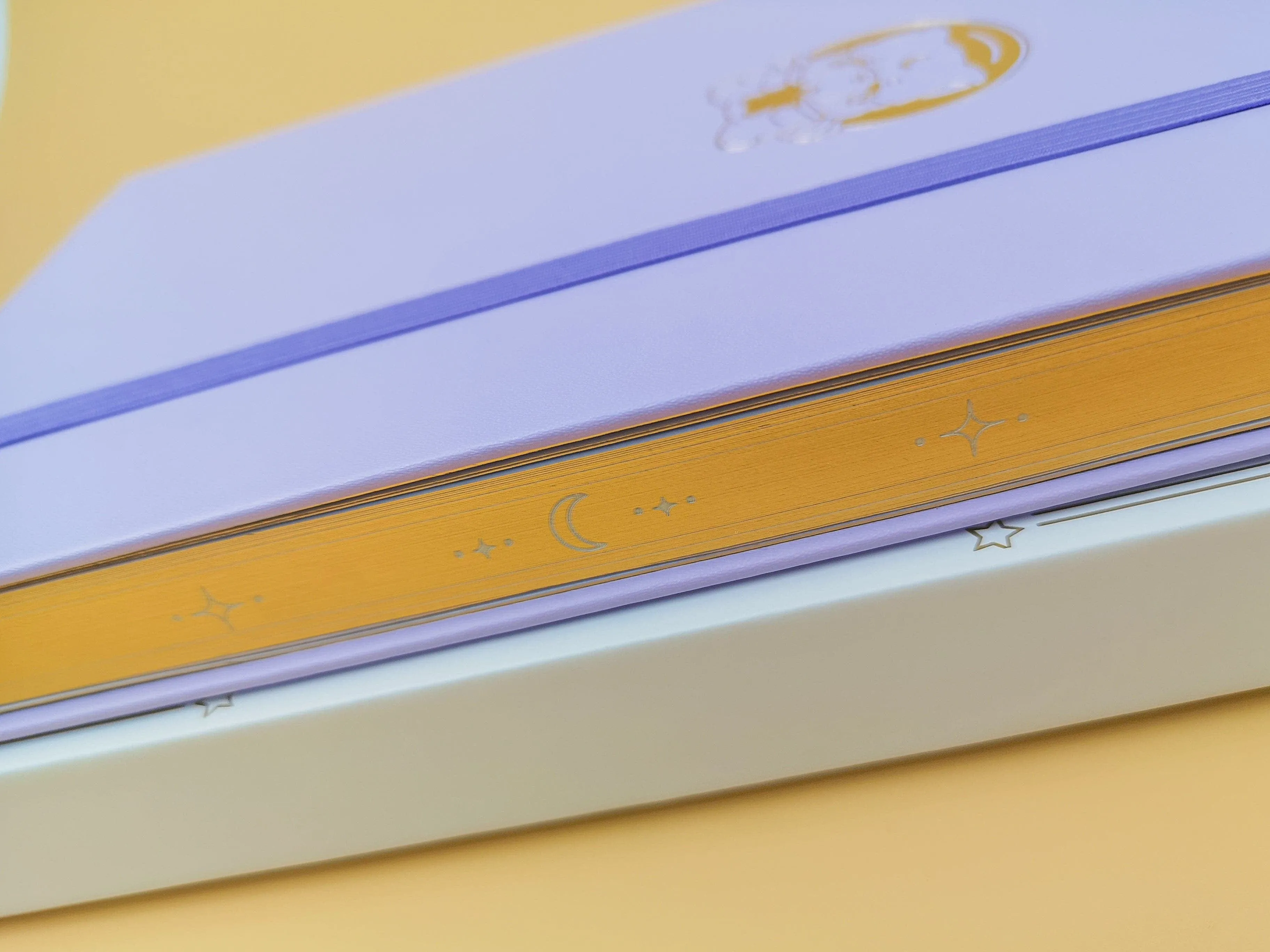 A5 Luna 'Cosmic KUMA' Limited Edition Bullet Journal 🌙