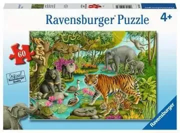 Animals of India 60pc