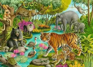 Animals of India 60pc