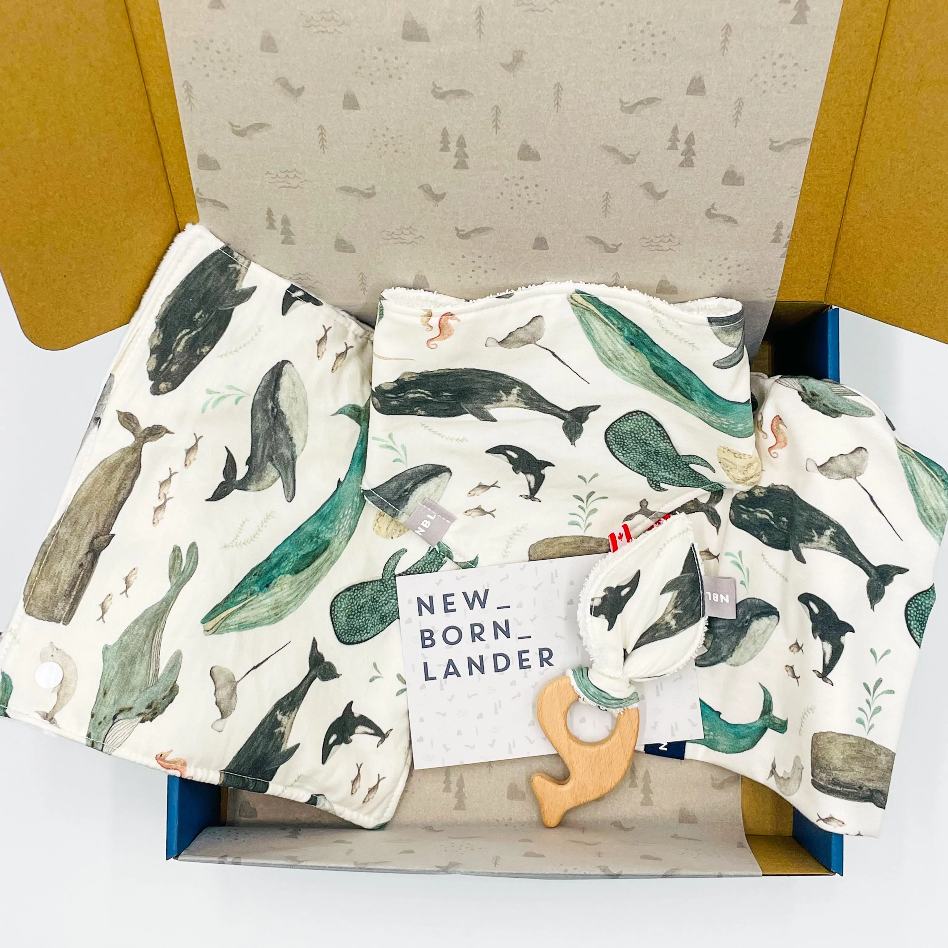 Gift Box Whale Song