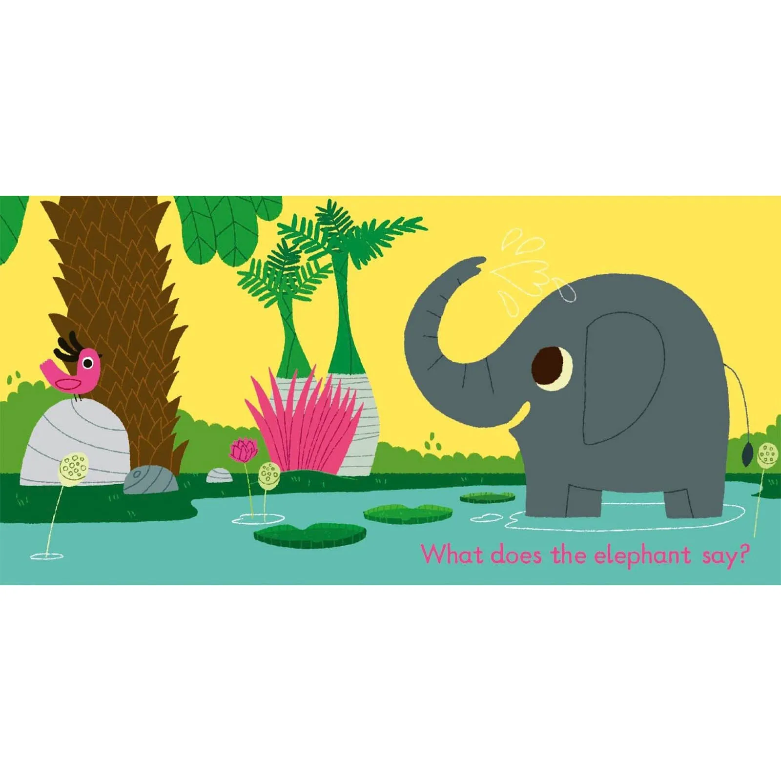 Listen to the Jungle Sound Book