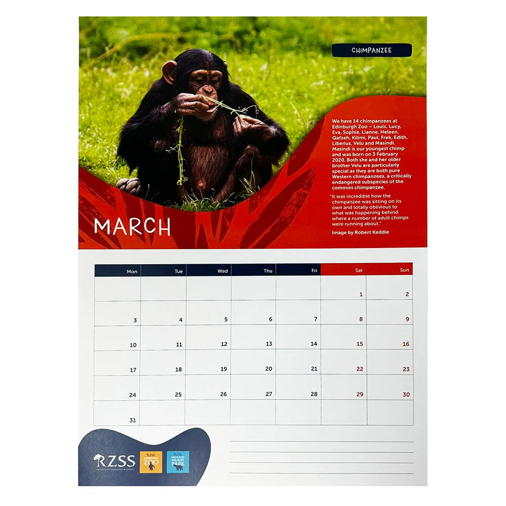 RZSS Wall Calendar 2025