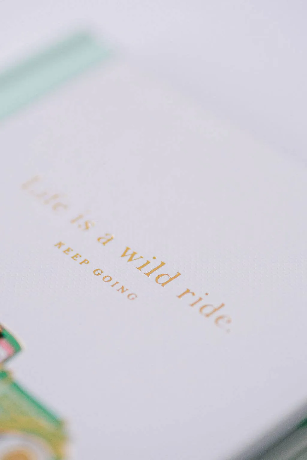 Wild Ride Notebook - Green